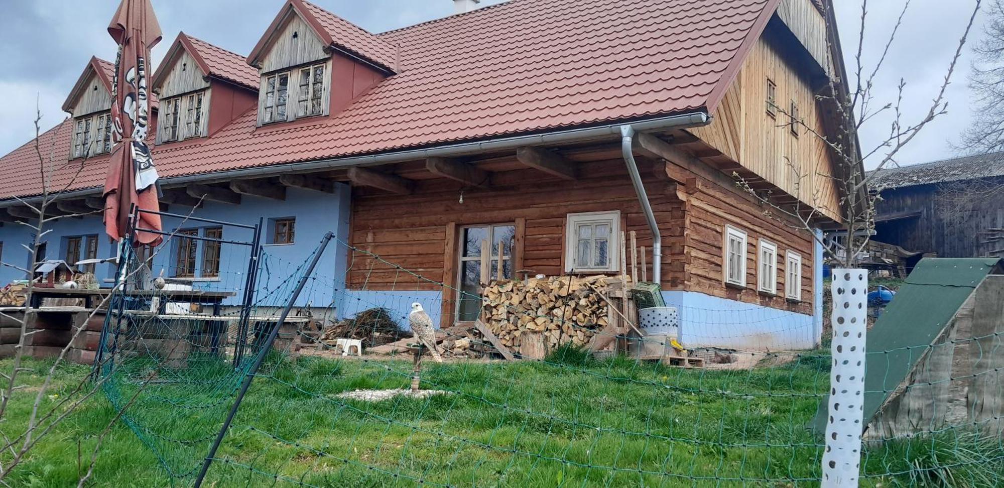 Pension Hermína Jilemnice Exterior foto